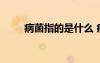病菌指的是什么 病菌的解釋和造句