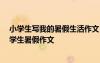 小學(xué)生寫(xiě)我的暑假生活作文 小學(xué)生我的暑假作文400字-小學(xué)生暑假作文