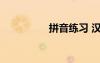 拼音練習(xí) 漢語(yǔ)拼音練習(xí)
