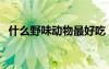 什么野味動物最好吃（什么野味肉最好吃）
