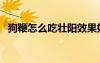 狗鞭怎么吃壯陽效果好（狗鞭怎么吃最補）
