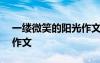 一縷微笑的陽光作文500字 一縷微笑的陽光作文