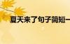 夏天來了句子簡短一年級 夏天來了句子