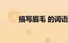 描寫(xiě)眉毛 的詞語(yǔ) 描寫(xiě)眉毛的成語(yǔ)
