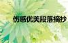 傷感優(yōu)美段落摘抄 優(yōu)美傷感句子摘抄