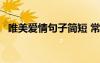 唯美愛情句子簡短 常用唯美愛情句子79條