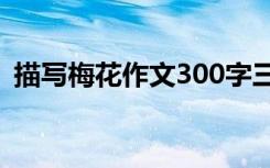 描寫梅花作文300字三年級的 描寫梅花作文