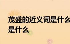 茂盛的近義詞是什么標(biāo)準(zhǔn)答案 茂盛的近義詞是什么