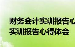 財務(wù)會計實訓(xùn)報告心得體會500字 財務(wù)會計實訓(xùn)報告心得體會