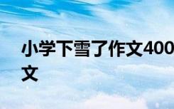 小學下雪了作文400字四年級 小學下雪了作文
