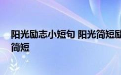 陽光勵志小短句 陽光簡短勵志唯美句子 勵志的句子致自己簡短
