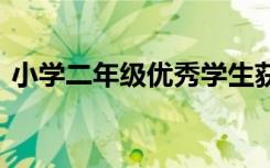 小學(xué)二年級優(yōu)秀學(xué)生獲獎感言 學(xué)生獲獎感言