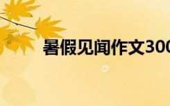 暑假見聞作文300字 暑假見聞作文