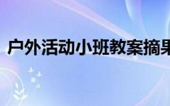 戶外活動小班教案摘果子 戶外活動小班教案
