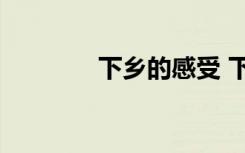 下鄉(xiāng)的感受 下鄉(xiāng)作文600字