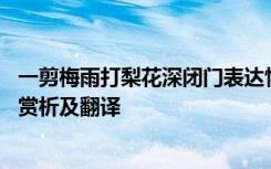 一剪梅雨打梨花深閉門表達(dá)情感 一剪梅雨打梨花深閉門原文賞析及翻譯