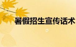 暑假招生宣傳話術(shù) 暑假招生宣傳方案