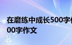 在磨練中成長500字作文初二 在磨練中成長500字作文
