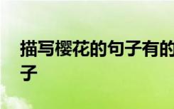 描寫櫻花的句子有的有的有的 描寫櫻花的句子