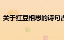 關(guān)于紅豆相思的詩句古詩詞 紅豆的相思詩句