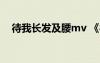 待我長發(fā)及腰mv 《待我長發(fā)及腰》歌詞