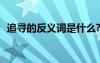 追尋的反義詞是什么? 追求的反義詞是什么
