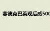 賽德克巴萊觀后感500字 賽德克巴萊觀后感