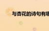 與杏花的詩句有哪些 與杏花的詩句