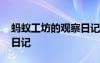 螞蟻工坊的觀察日記怎么寫 螞蟻工坊的觀察日記