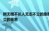 樹無根不長人無志不立的意思代表什么 樹無根不長人無志不立的意思
