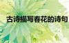 古詩描寫春花的詩句 古代描寫春花的詩句