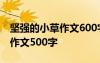 堅(jiān)強(qiáng)的小草作文600字作文 堅(jiān)強(qiáng)的小草-寫(xiě)事作文500字