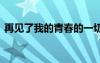 再見了我的青春的一切 再見了我的青春作文