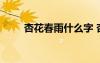 杏花春雨什么字 杏花春雨成語解釋