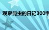 觀察昆蟲的日記300字左右 觀察昆蟲的日記