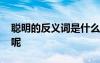 聰明的反義詞是什么呀 聰明的反義詞是什么呢