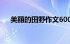 美麗的田野作文600字 美麗的田野作文