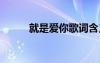 就是愛(ài)你歌詞含義 就是愛(ài)你歌詞