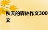 秋天的森林作文300字三年級 秋天的森林作文
