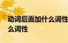 動詞后面加什么詞性的詞英語 動詞后面加什么詞性