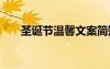 圣誕節(jié)溫馨文案簡(jiǎn)短 圣誕節(jié)溫馨文案