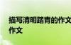 描寫清明踏青的作文600字 描寫清明踏青的作文