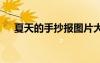 夏天的手抄報(bào)圖片大全 美麗夏天手抄報(bào)