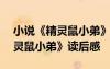 小說《精靈鼠小弟》讀后感400字 小說《精靈鼠小弟》讀后感