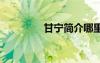 甘寧簡介哪里人 甘寧簡介