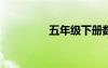 五年級下冊數(shù)學(xué)復(fù)習(xí)資料