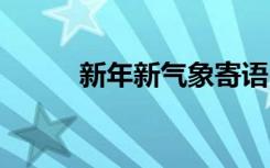 新年新氣象寄語(yǔ) 新年新氣象賀詞