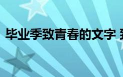 畢業(yè)季致青春的文字 致畢業(yè)的青春句子短語