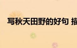 寫秋天田野的好句 描寫秋天田野好句摘抄