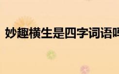 妙趣橫生是四字詞語(yǔ)嗎 妙趣橫生的成語(yǔ)解釋